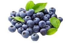 אוכמניות בקופסה קטנה