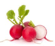 צנוניות (באריזה)