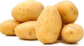 תפוח אדמה לבן (ק"ג)